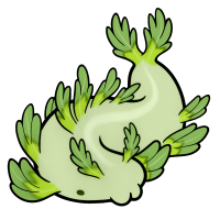 Thumbnail image for C-050: Lettuce