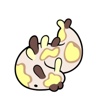 Thumbnail for C-116: Banana-chocolate pie!
